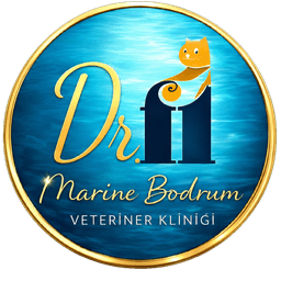 Dr.Fi Marine Bodrum Veteriner Kliniği logosu